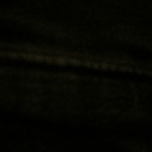 Meet your Posher, Lamar